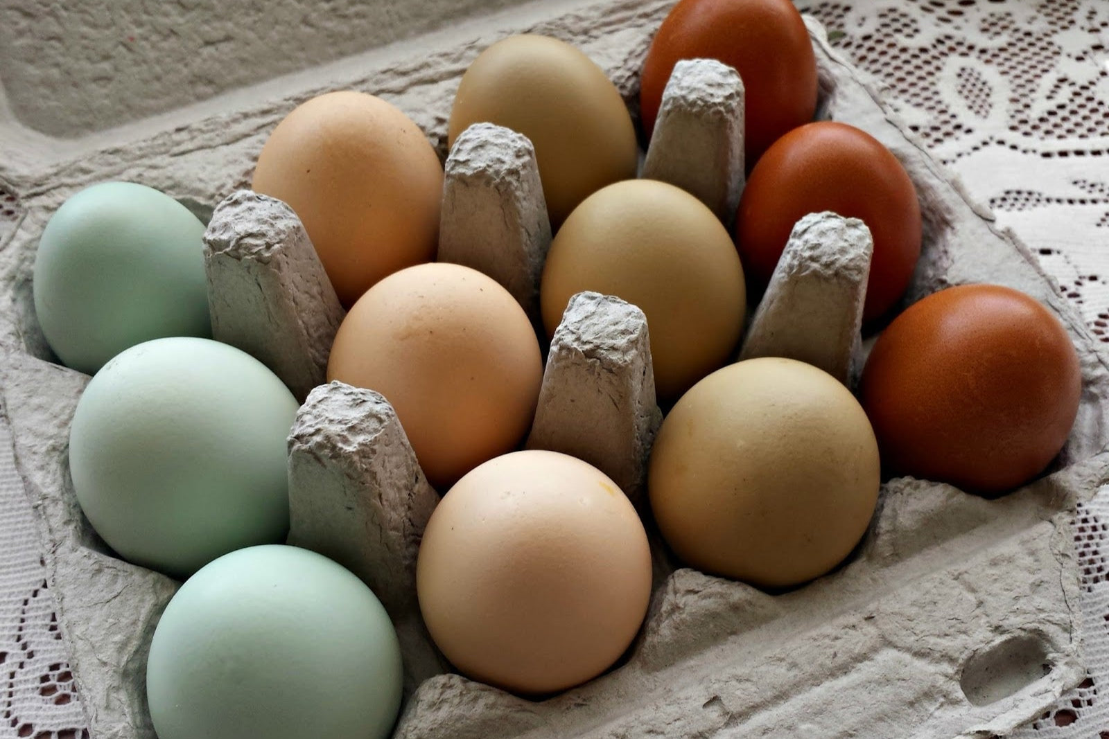 Mix and Match Chicken Hatching Eggs